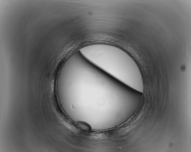 X0000100200454200805300751