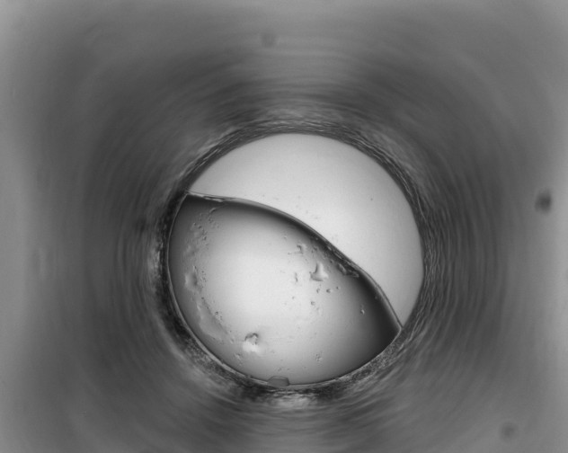 X0000100200456200805300751