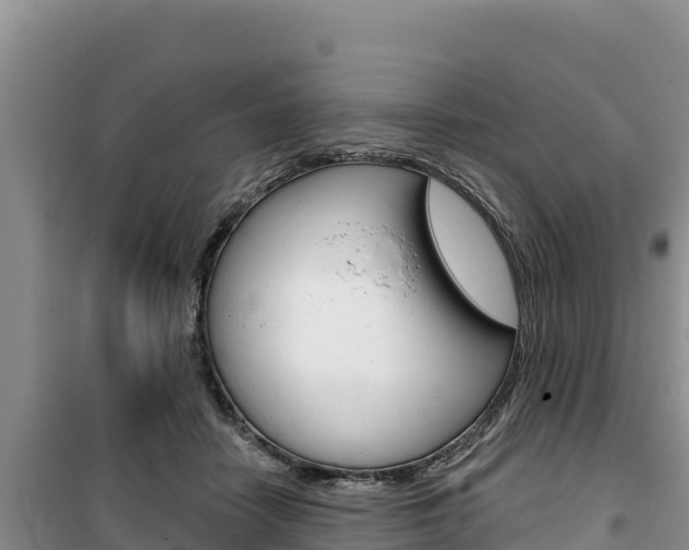 X0000100200458200805300751
