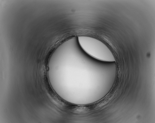 X0000100200459200805300751