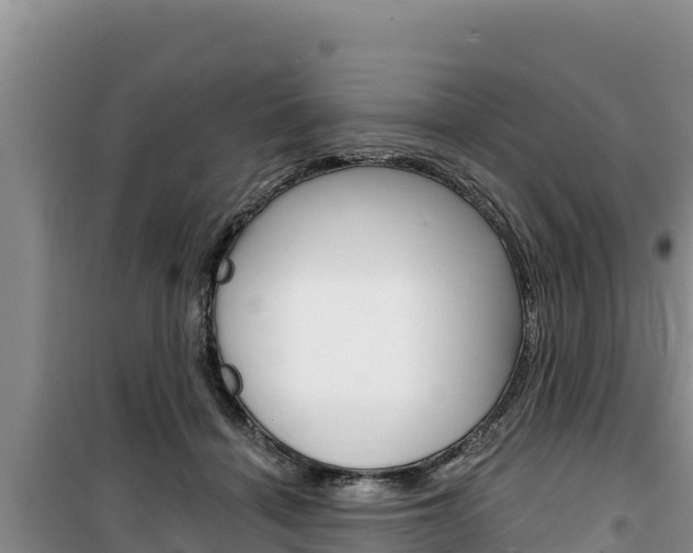 X0000100200460200805300751