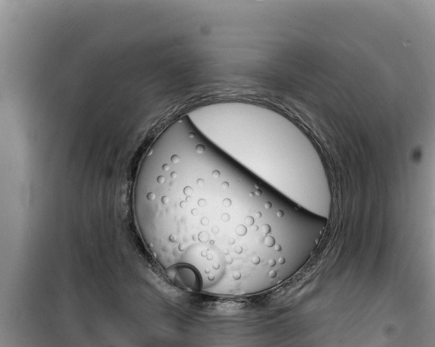 X0000100200462200805300751