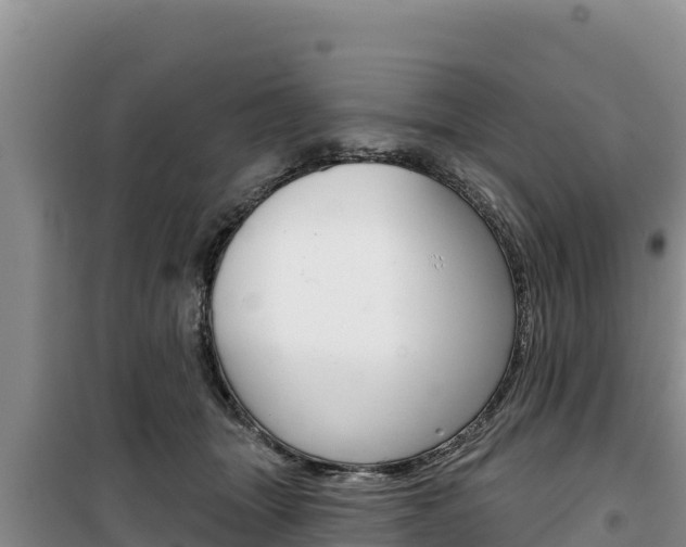 X0000100200463200805300751