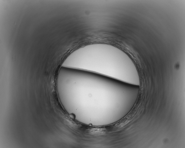 X0000100200465200805300751
