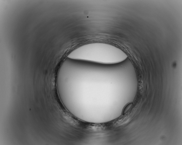 X0000100200466200805300751