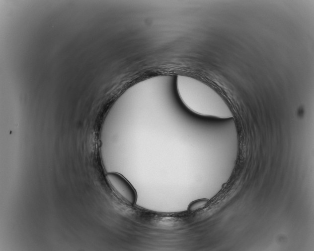 X0000100200467200805300751