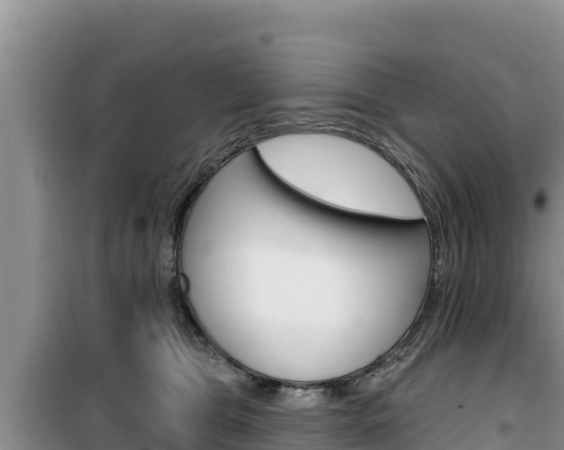 X0000100200469200805300751