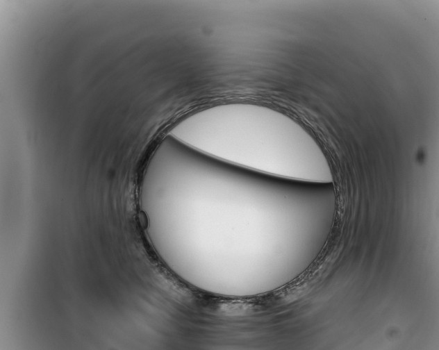 X0000100200470200805300751