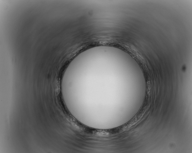 X0000100200471200805300751