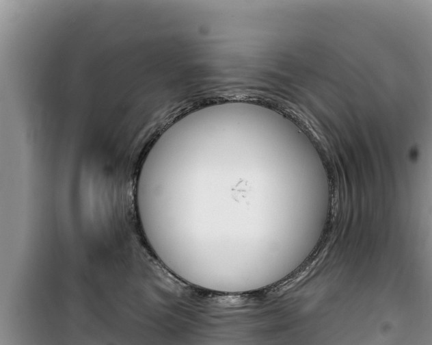 X0000100200473200805300751