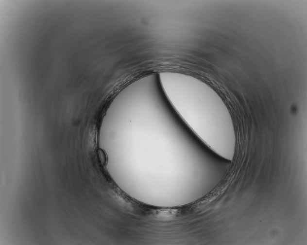 X0000100200474200805300751