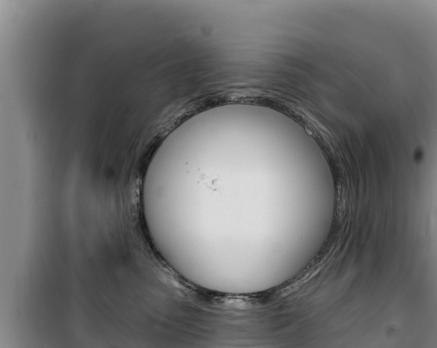 X0000100200475200805300751