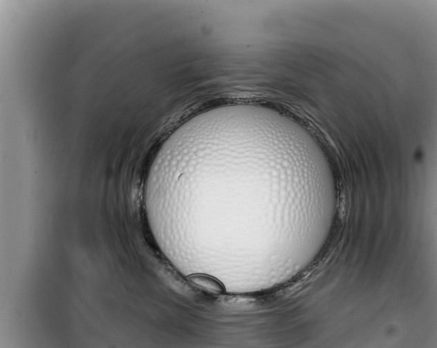 X0000100200476200805300751