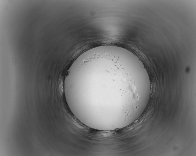 X0000100200479200805300751