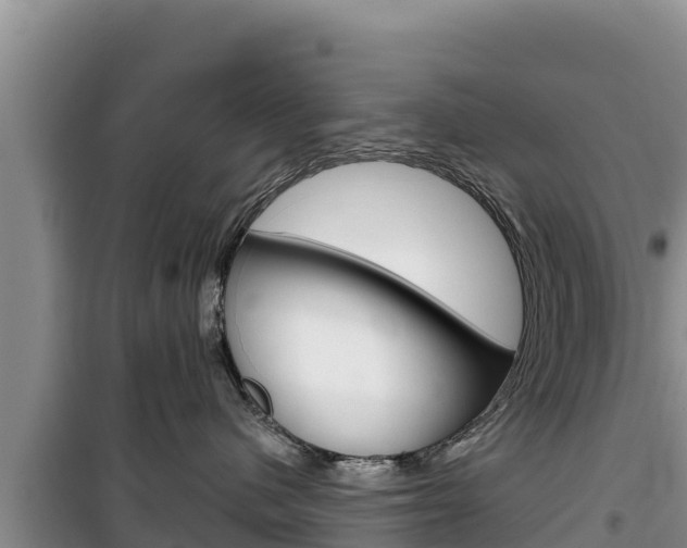 X0000100200480200805300751
