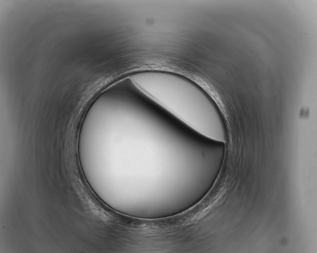 X0000100200481200805300750