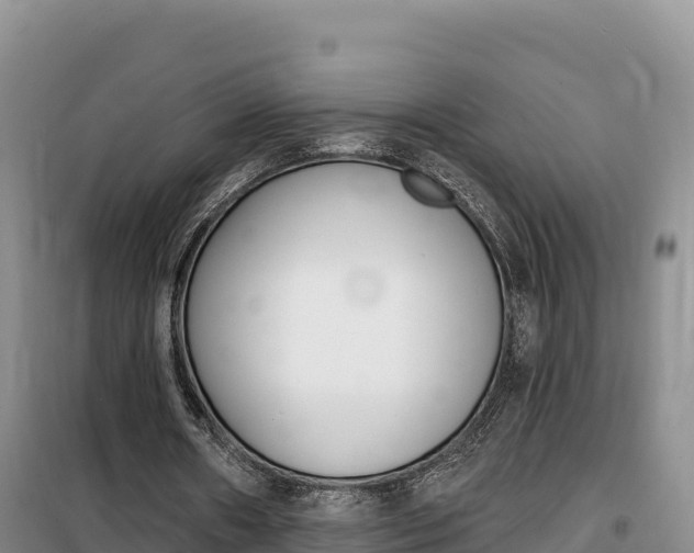 X0000100200482200805300750
