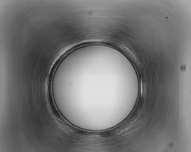 X0000100200483200805300750