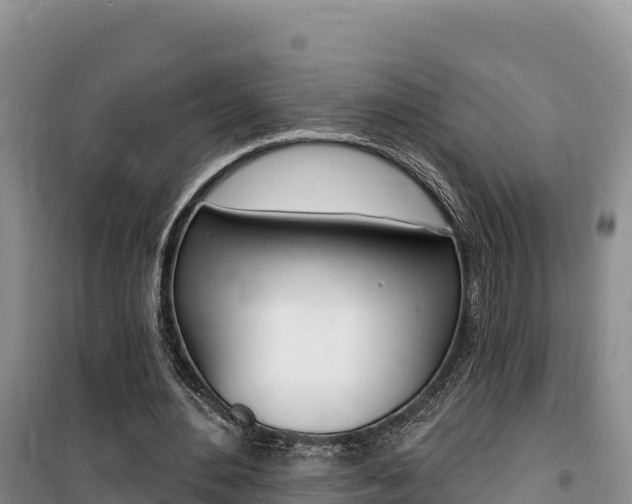 X0000100200484200805300750