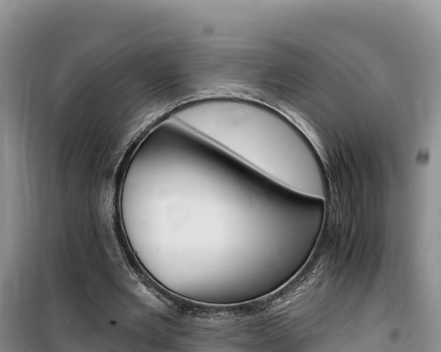 X0000100200485200805300750
