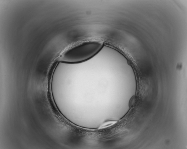 X0000100200486200805300750