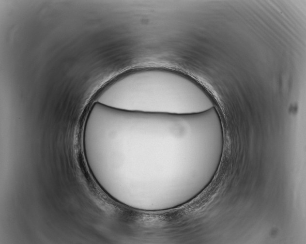 X0000100200487200805300750
