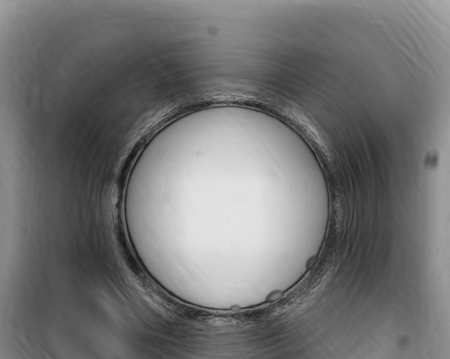 X0000100200490200805300750