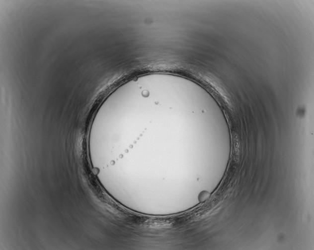 X0000100200491200805300750