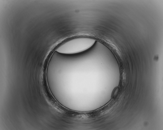 X0000100200492200805300750