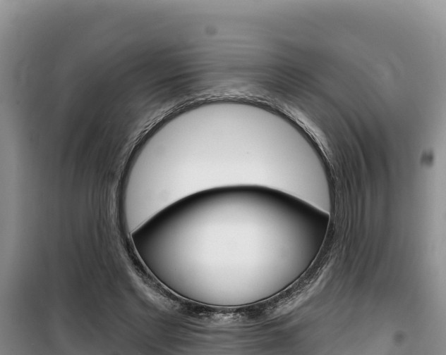 X0000100200493200805300750