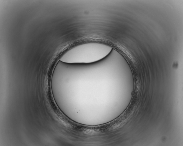 X0000100200494200805300750