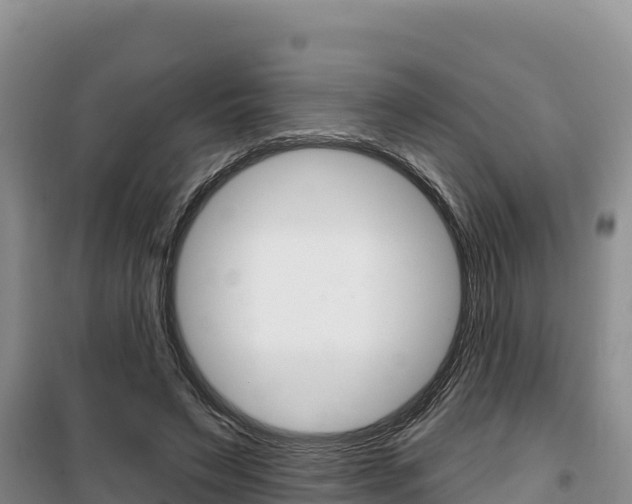 X0000100200495200805300750