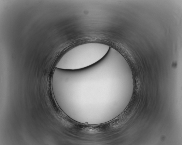 X0000100200498200805300750