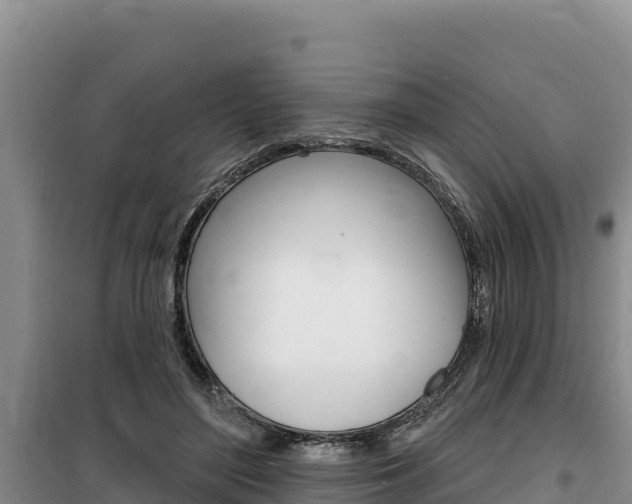 X0000100200500200805300750