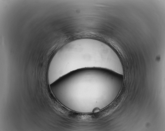 X0000100200501200805300750