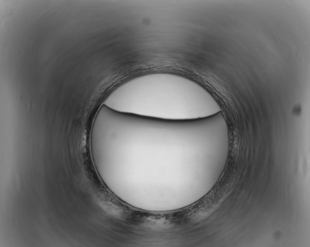 X0000100200502200805300750