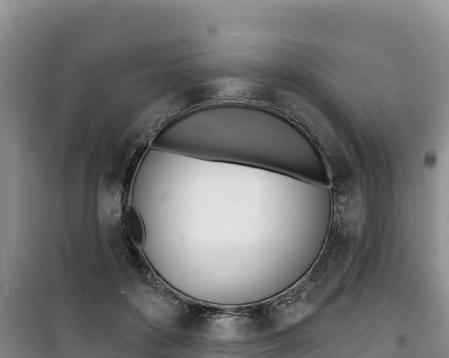 X0000100200504200805300750