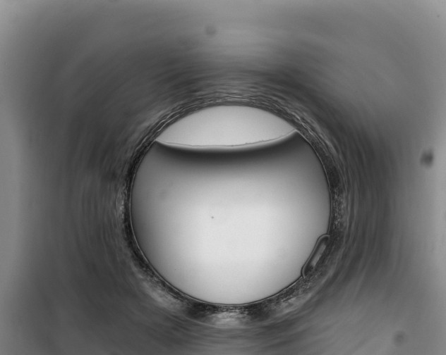 X0000100200505200805300750