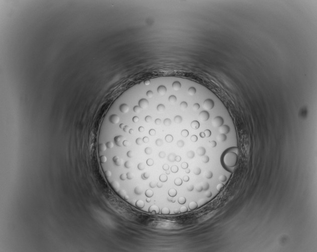 X0000100200507200805300750