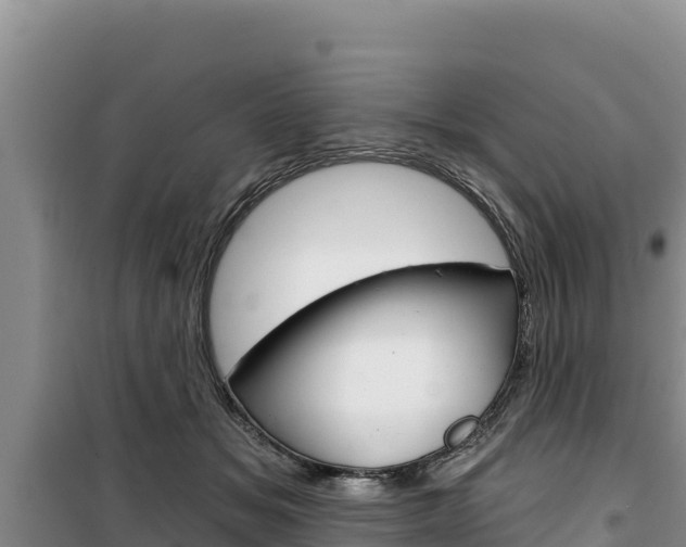 X0000100200509200805300750