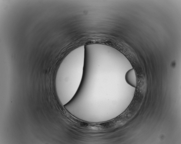 X0000100200510200805300750