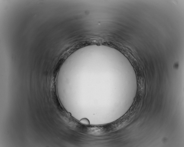 X0000100200511200805300750