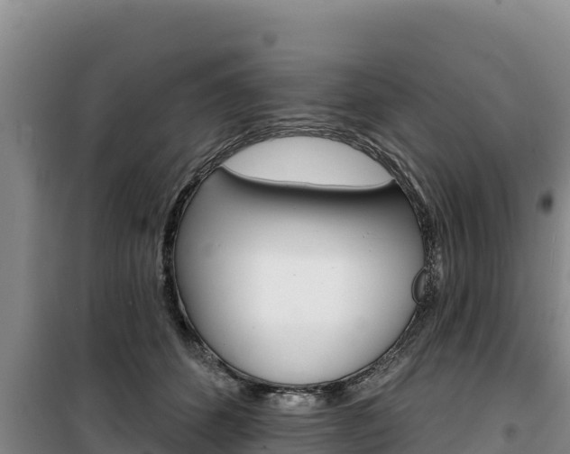 X0000100200512200805300750