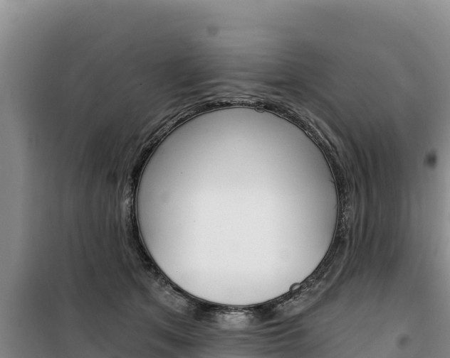 X0000100200513200805300750