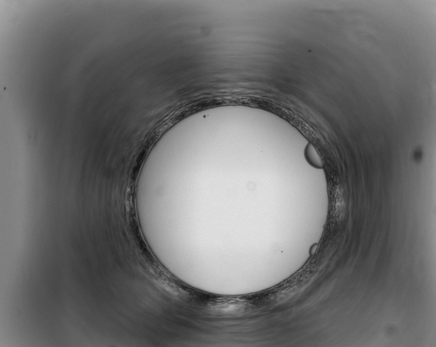 X0000100200514200805300750