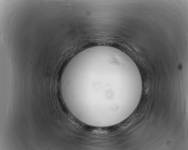 X0000100200515200805300750