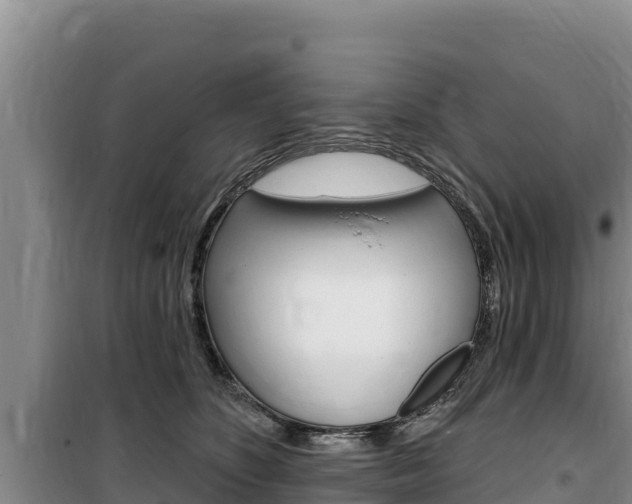 X0000100200516200805300750
