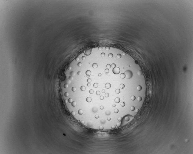 X0000100200519200805300750