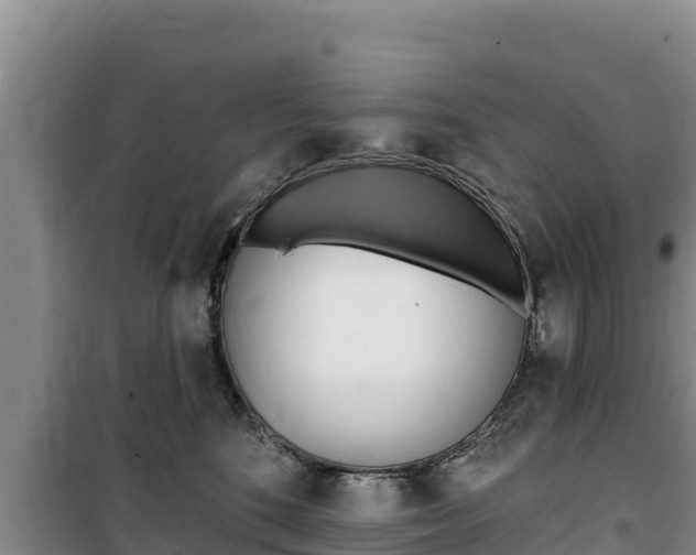 X0000100200520200805300750