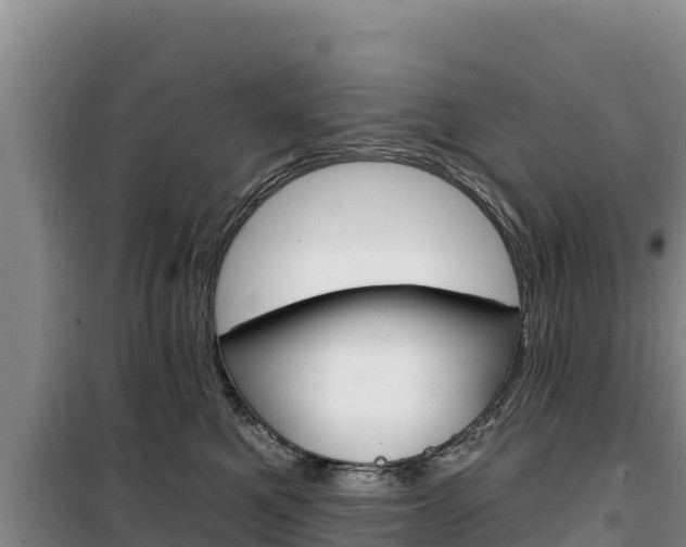 X0000100200521200805300750